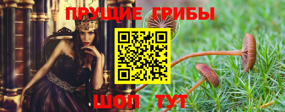 Псилоцибиновые грибы мицелий Чапаевск