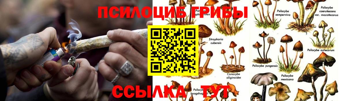Псилоцибиновые грибы мицелий  где купить наркоту  Чапаевск  Вход с VPN 