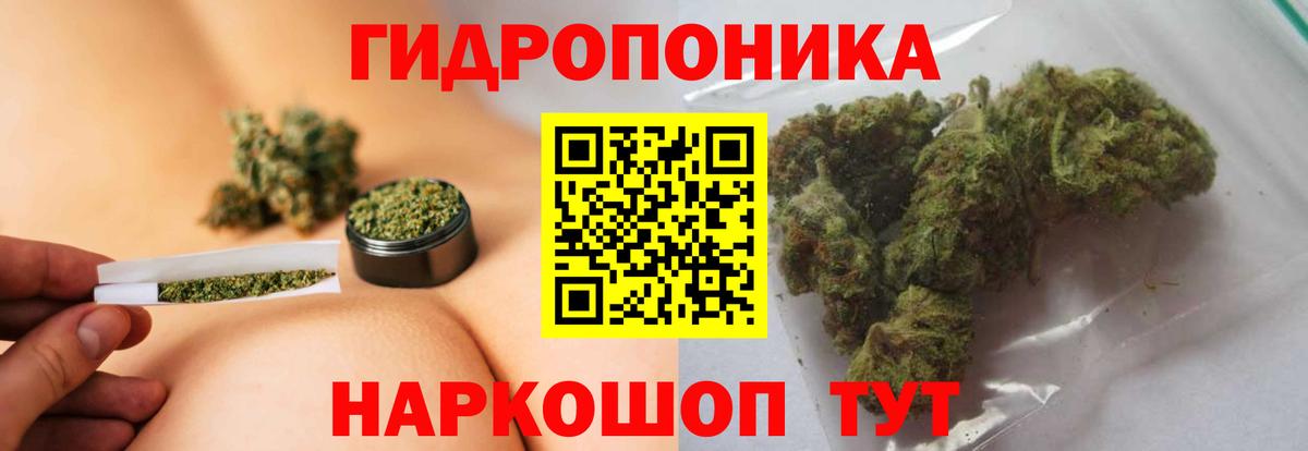 Бошки марихуана VHQ Чапаевск